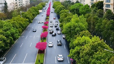 048ba19faa09444b9bda49c488d640f0.gif