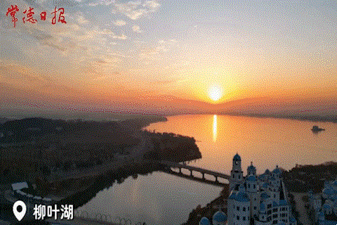 0e937b66a21a40a7917183c1e4174420.gif