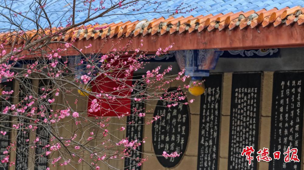 常德风光